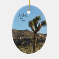Joshua-Baum-Nationalpark