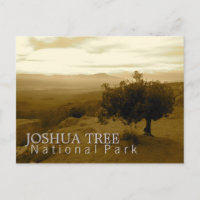 Joshua-Baum-Nationalpark