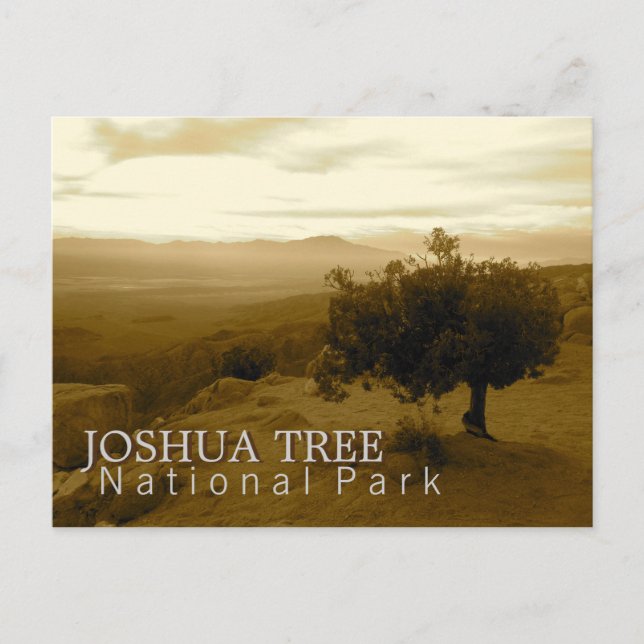Joshua-Baum-Nationalpark Postkarte (Vorderseite)