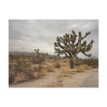 Joshua-Baum-Nationalparkpostkarte