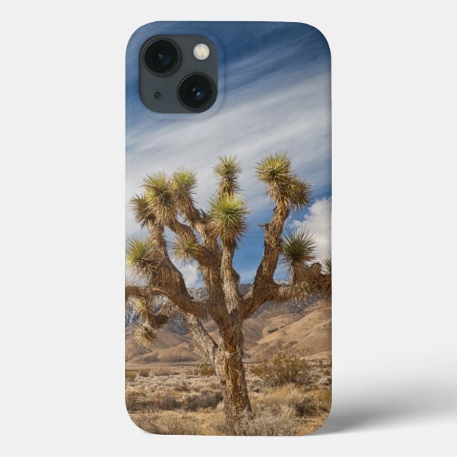 Joshua-Bäume in der Wüste Case-Mate iPhone Hülle (Rückseite)