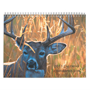 Joshua Spies 2011 Kalender