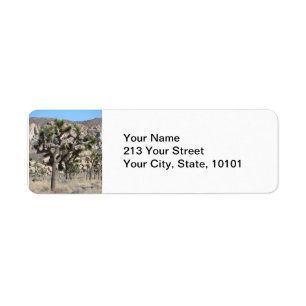 Joshua Tree