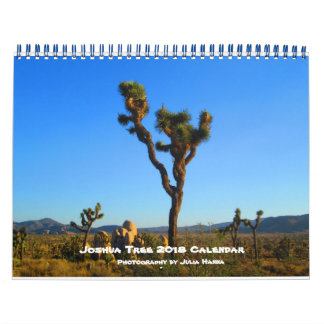 Joshua Tree 2018 von Julia Hanna Kalender