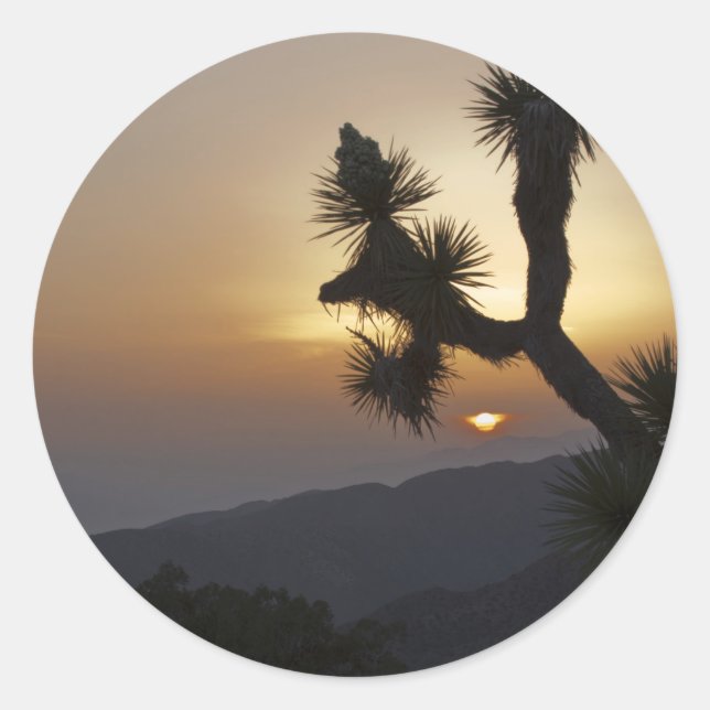 Joshua Tree bei Sonnenuntergang Runder Aufkleber (Vorderseite)