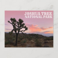 Joshua Tree California Sunset