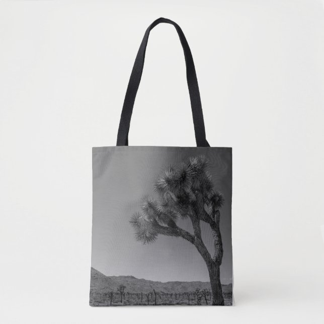 Joshua Tree Desert Landschaft - Nationalpark Foto (Vorderseite)