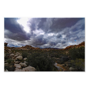 Joshua Tree Fotodruck