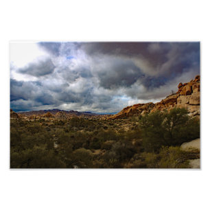 Joshua Tree Fotodruck