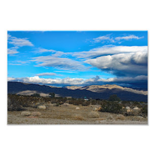 Joshua Tree Fotodruck