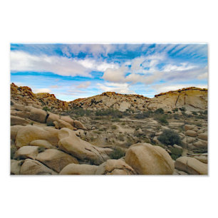 Joshua Tree Fotodruck