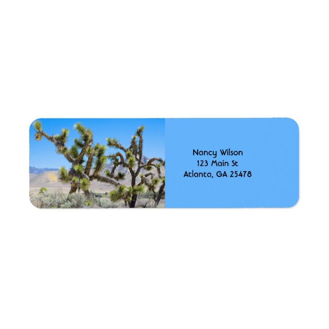 Joshua Tree in Kalifornien (Vorne)