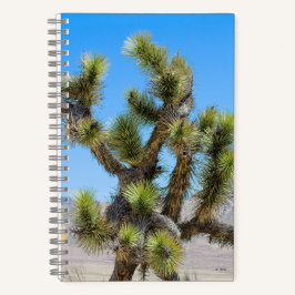 Joshua Tree in Kalifornien Notizbuch