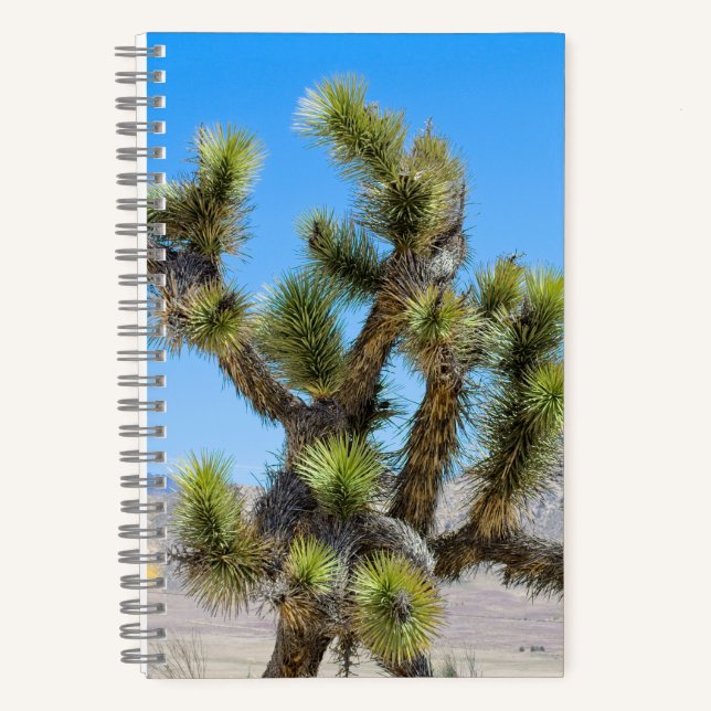 Joshua Tree in Kalifornien Notizbuch (Vorderseite)