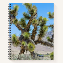 Joshua Tree in Kalifornien Notizbuch