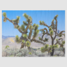 Joshua Tree in Kalifornien