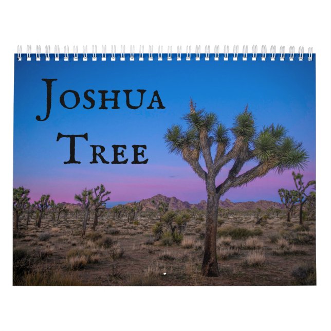 Joshua Tree Kalender (Titelbild)