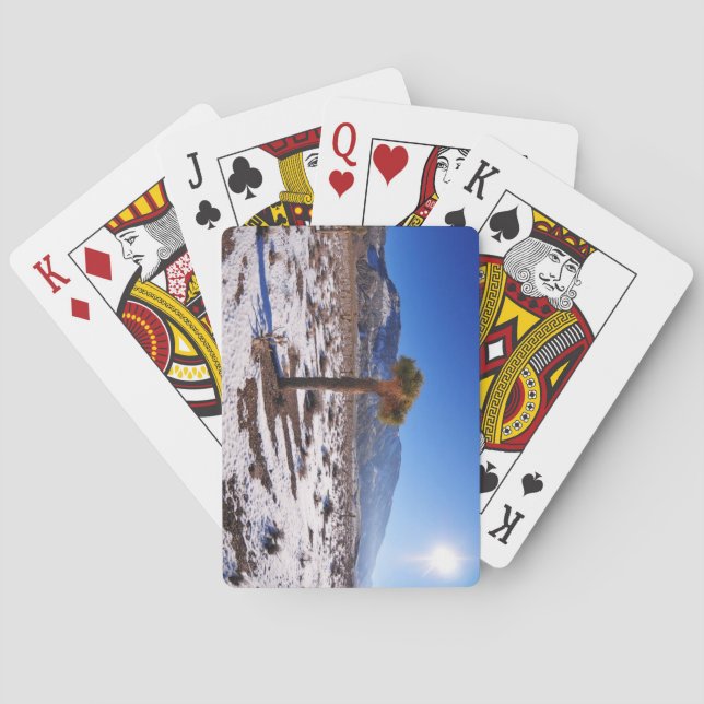 Joshua Tree, Kalifornien Spielkarten (Rückseite)