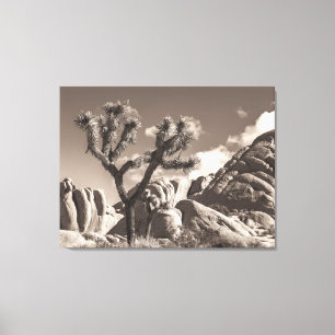 Joshua Tree Landscape Sepia Tone Leinwanddruck