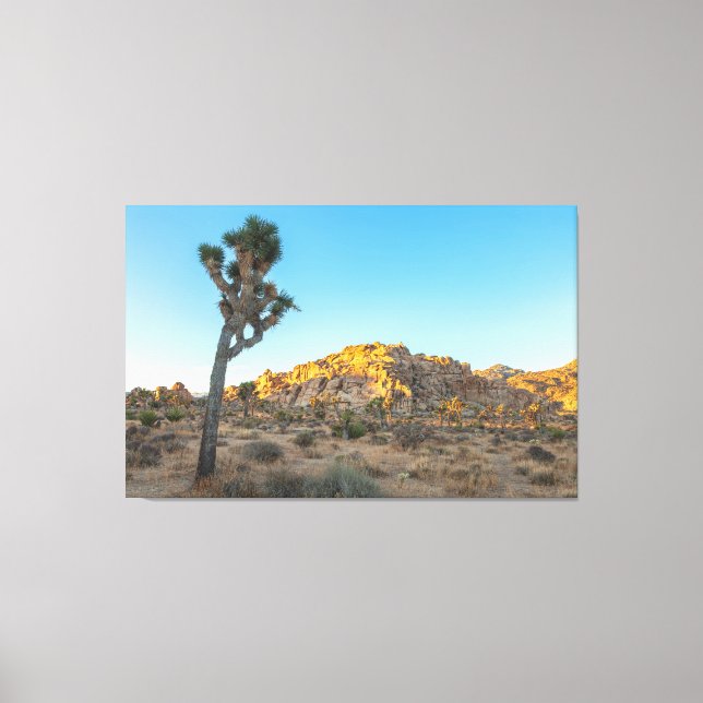 Joshua Tree Leinwanddruck (Vorderseite)
