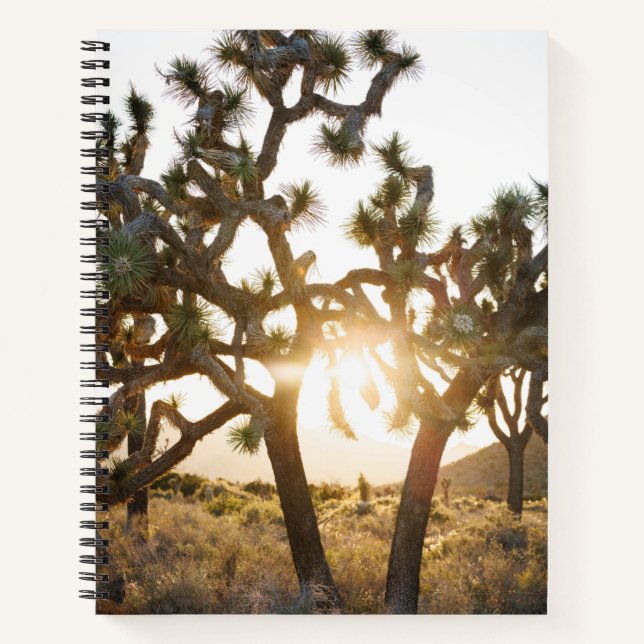 Joshua Tree - Limited Edition Notizbuch (Vorderseite)