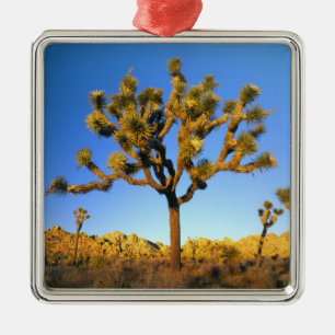 Joshua Tree National Park, Kalifornien. USA. Ornament Aus Metall