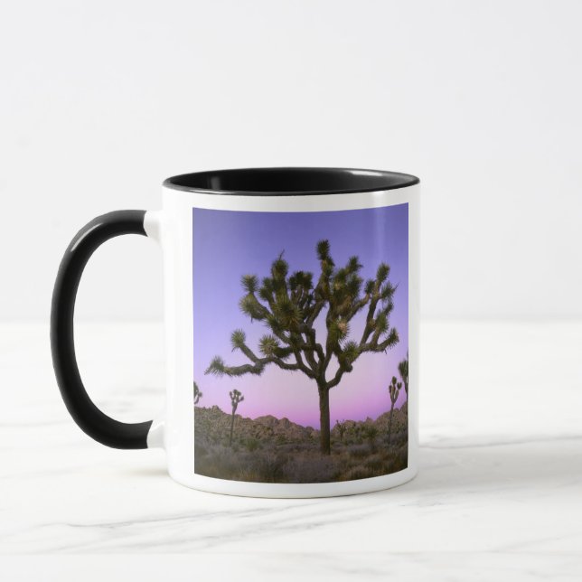 JOSHUA TREE NATIONAL PARK, KALIFORNIEN. USA. TASSE (Links)