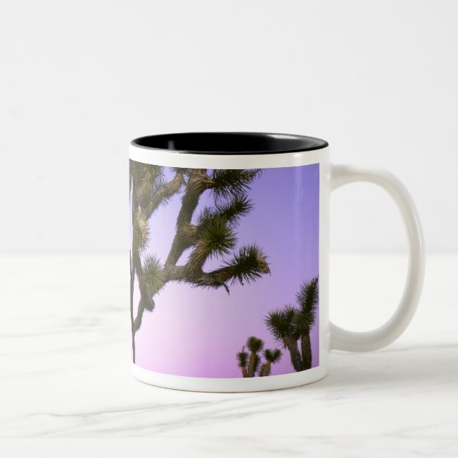 JOSHUA TREE NATIONAL PARK, KALIFORNIEN. USA. ZWEIFARBIGE TASSE (Rechts)
