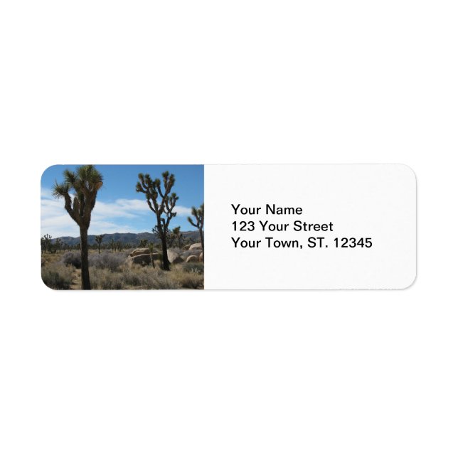 Joshua Tree Nationalpark (Vorne)