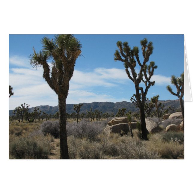 Joshua Tree Nationalpark (Vorderseite (Horizontal))