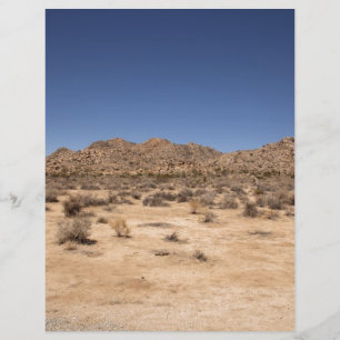 Joshua Tree Nationalpark
