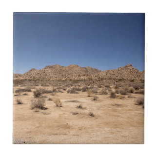 Joshua Tree Nationalpark Fliese