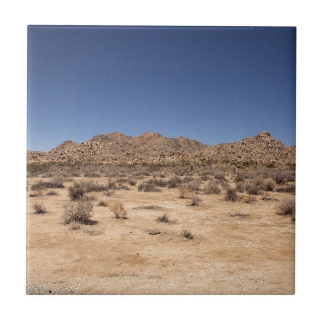Joshua Tree Nationalpark Fliese (Vorderseite)