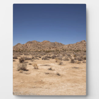 Joshua Tree Nationalpark Fotoplatte
