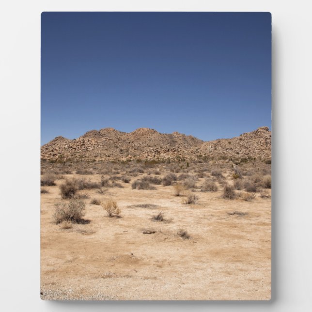 Joshua Tree Nationalpark Fotoplatte (Vorderseite)