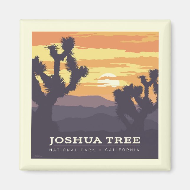 Joshua Tree Nationalpark | Kalifornien Magnet (Vorne)
