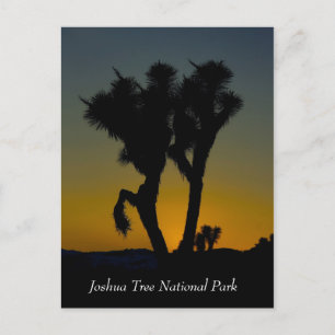 Joshua Tree Nationalpark, Kalifornien Postcard Postkarte
