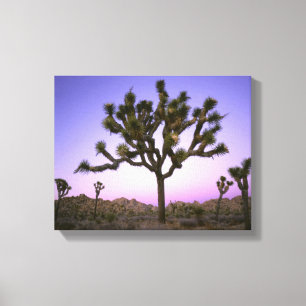 JOSHUA-TREE-NATIONALPARK, KALIFORNIEN. USA. LEINWANDDRUCK