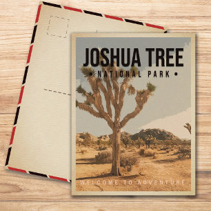 Joshua Tree Nationalpark Kalifornien Vintage Postkarte