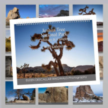 Joshua Tree Nationalpark Klettern und Camping