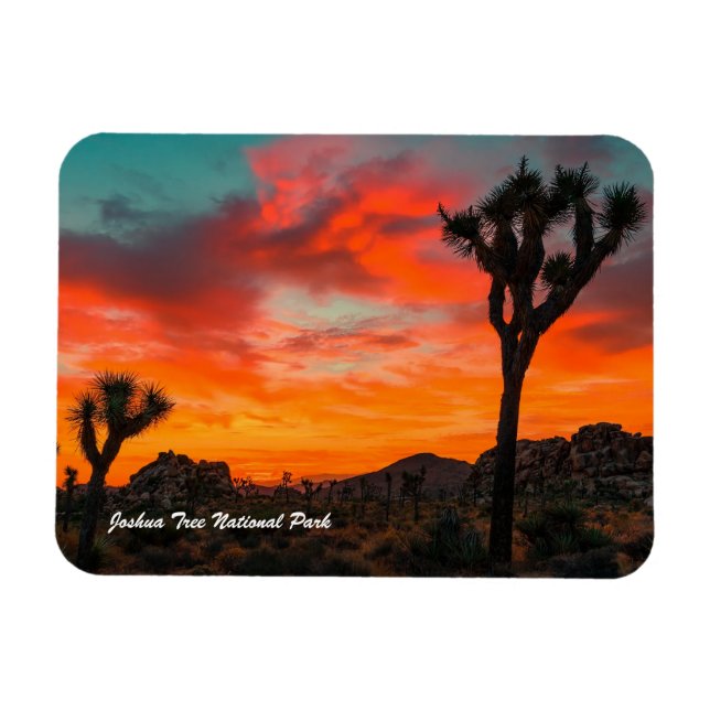 Joshua Tree Nationalpark Magnet (Horizontal)