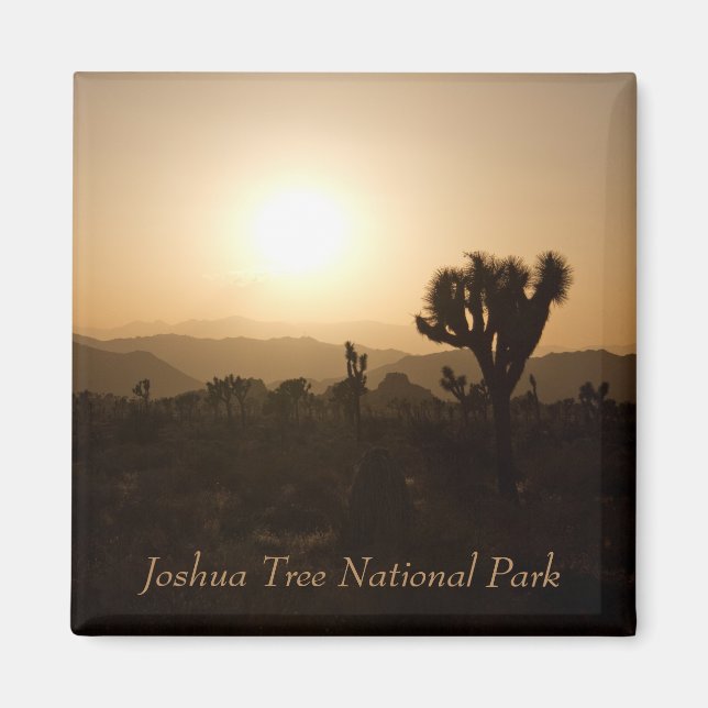 Joshua Tree Nationalpark Magnet (Vorne)