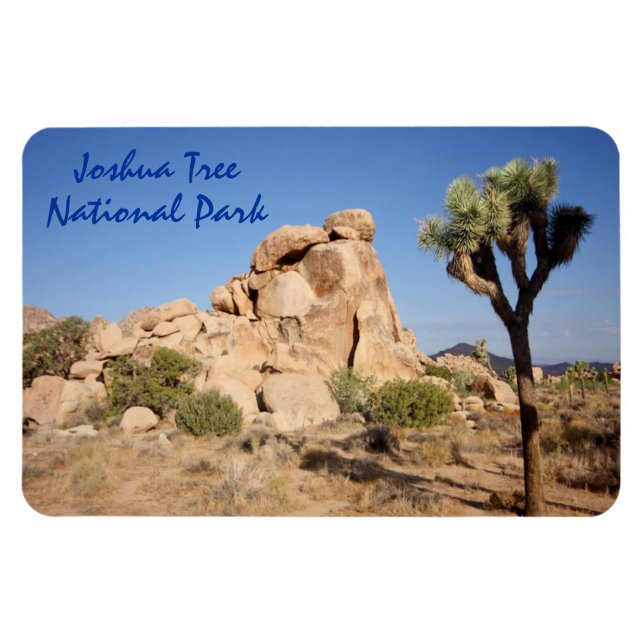Joshua Tree Nationalpark Magnet (Horizontal)