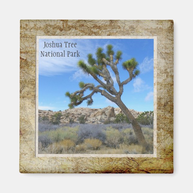 Joshua Tree Nationalpark Magnet! Magnet (Vorne)