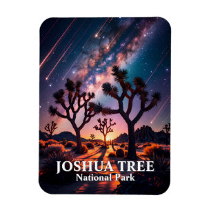 Joshua Tree Nationalpark Nachthimmel Milchstraße Magnet