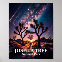 Joshua Tree Nationalpark Nachthimmel Milchstraße