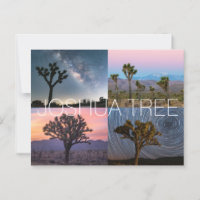 Joshua Tree Nationalpark Postcard