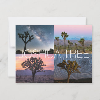 Joshua Tree Nationalpark Postcard Postkarte