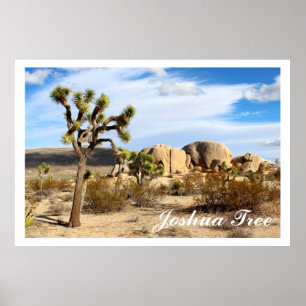 Joshua Tree Nationalpark Poster