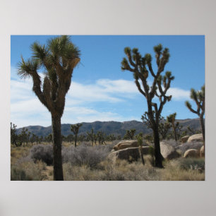 Joshua Tree Nationalpark Poster